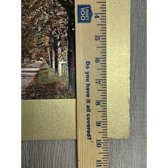 Vintage Silvery Fantasy Foil Engraving Print Fall Leaves Autumn Trees USA - Picture 12 of 13